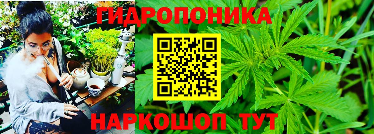 Канабис OG Kush  Вход с VPN  Каннабис гибрид  Сертолово  Канабис OG Kush 